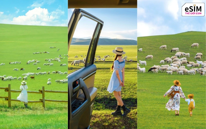 Thảo nguyên Nội Mông